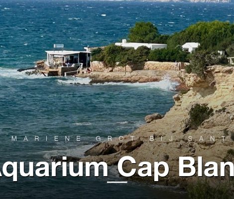 Cap Blanc kustlijn bij Sant Antoni Ibiza, locatie van het grot-aquarium