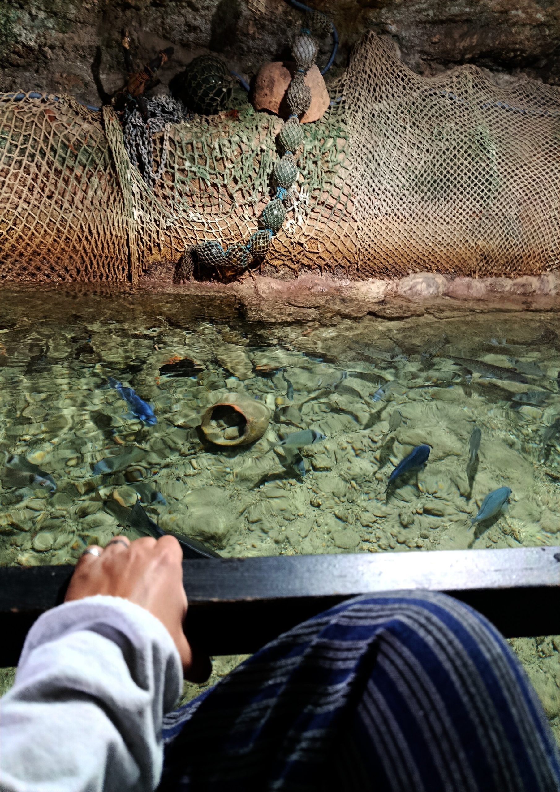 Vissen in het meer in de grot van Aquarium Cap Blanc
