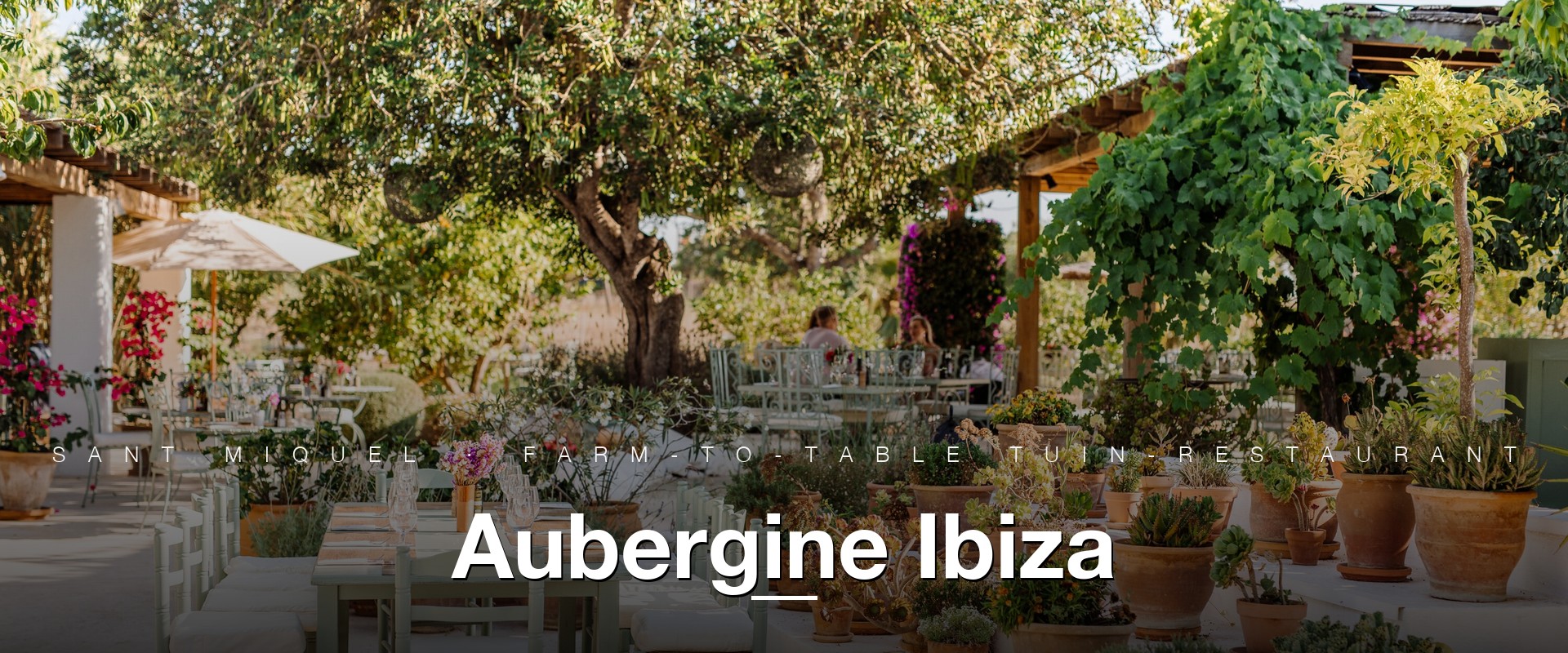 Aubergine Ibiza farm-to-table tuin