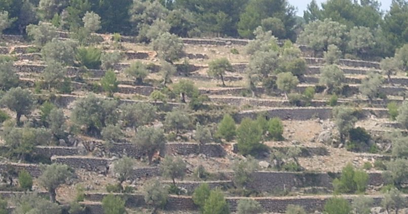 Rijden op Mallorca