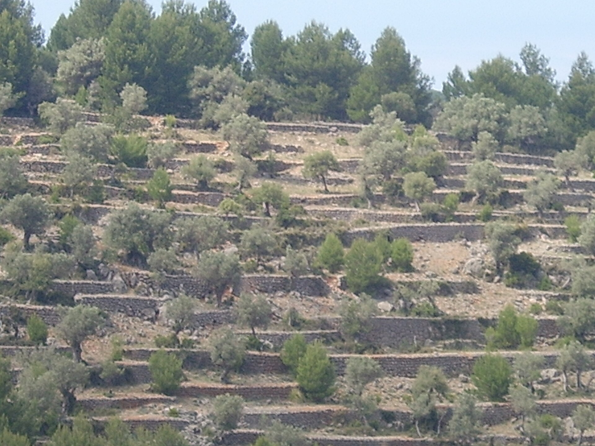 Bergwegen in de Tramuntana op Mallorca