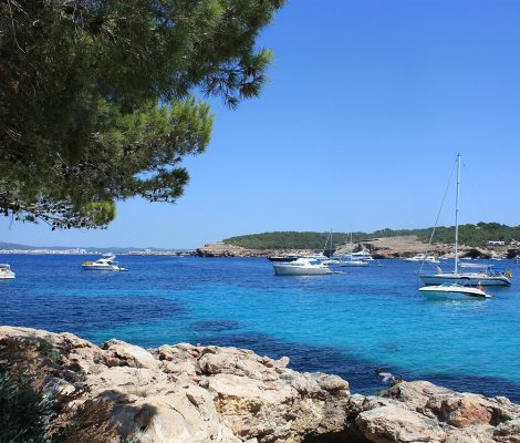 Cala Bassa op Ibiza met het turquoise water en pijnbomen