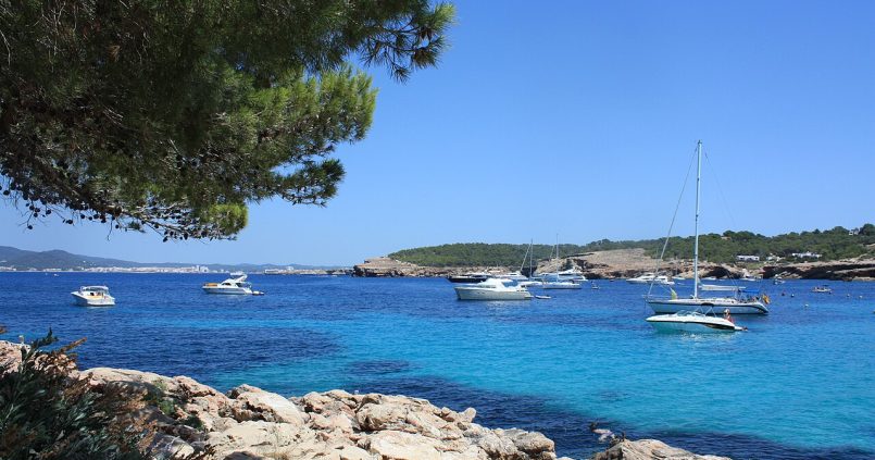 Cala Bassa op Ibiza met het turquoise water en pijnbomen