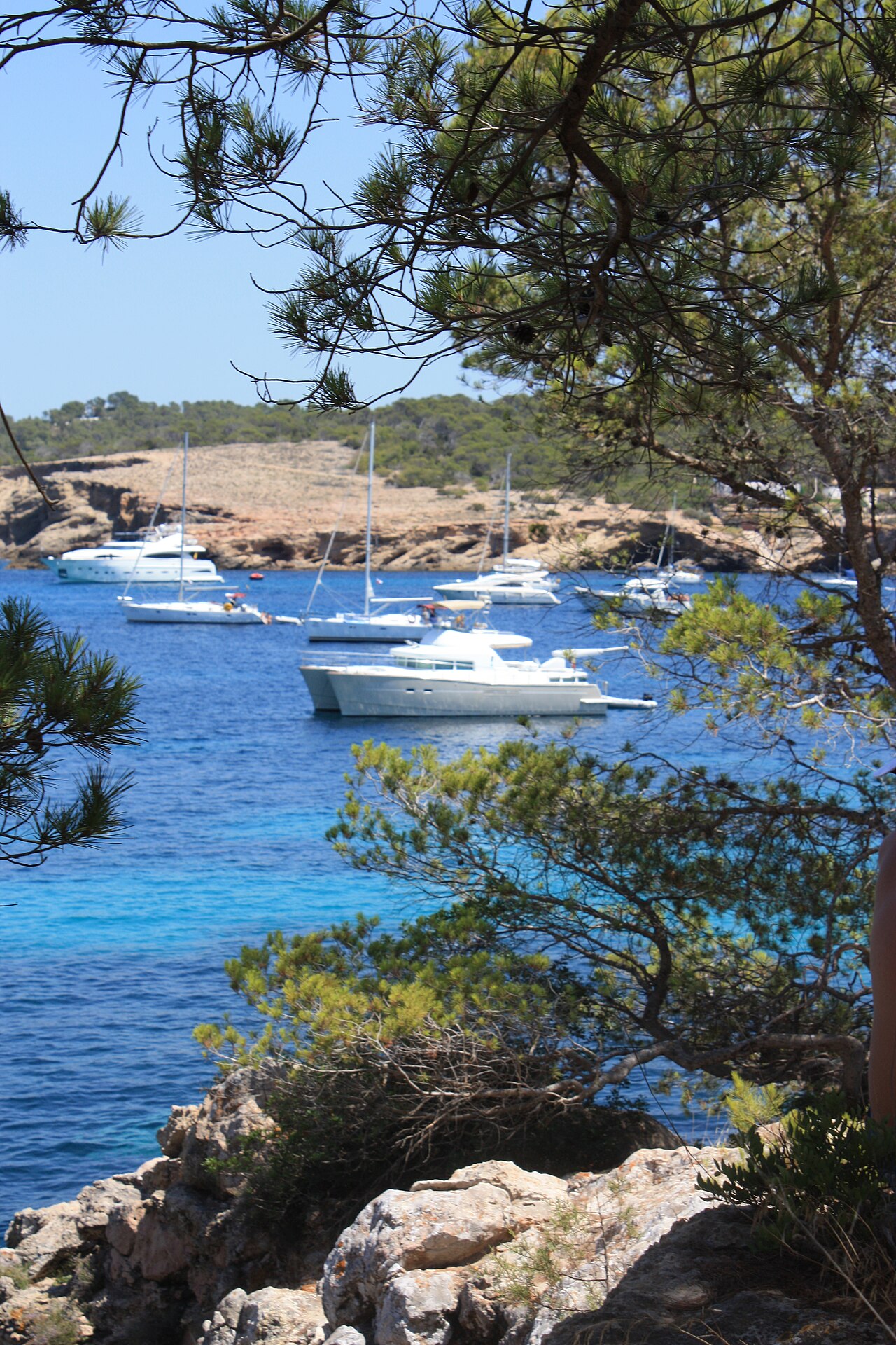 Cala Bassa Beach Club (CBBC) Ibiza: complete bezoekgids 2026 2 Uitzicht over Cala Bassa baai aan de westkust van Ibiza
