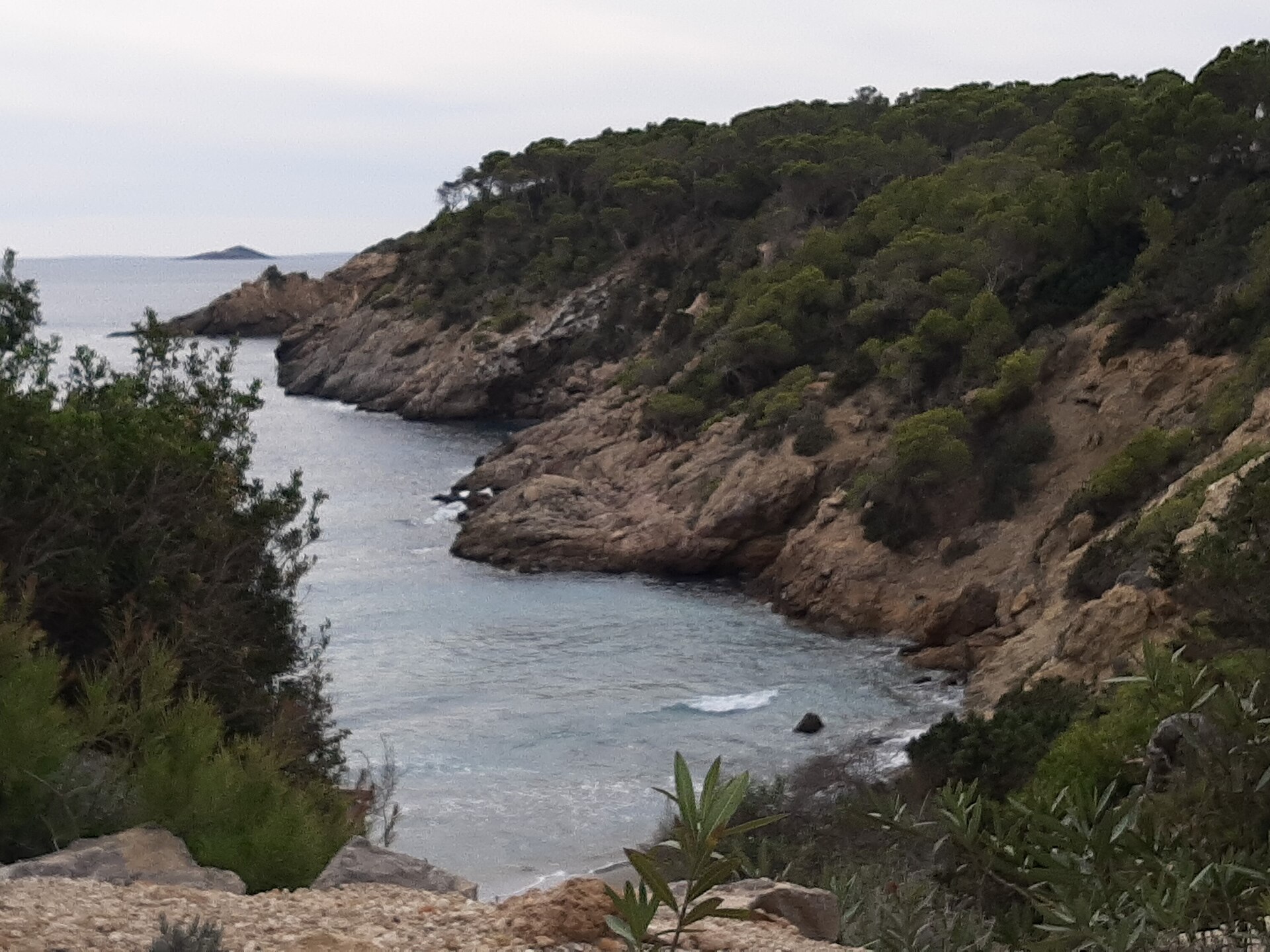 Cala Boix gezien vanaf de kliffen, kleine baai tussen pijnbomen