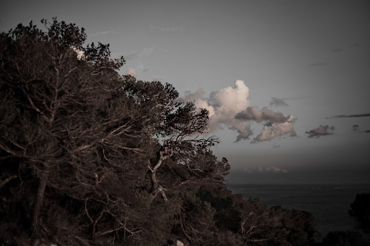 De kiezels en stenen van Cala Llentrisca, Ibiza