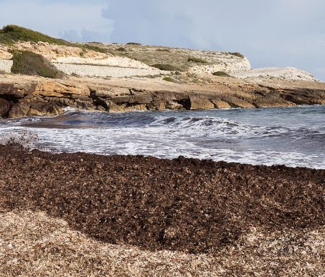 Cala Mitjana op Mallorca bij Artà - wild zandstrand