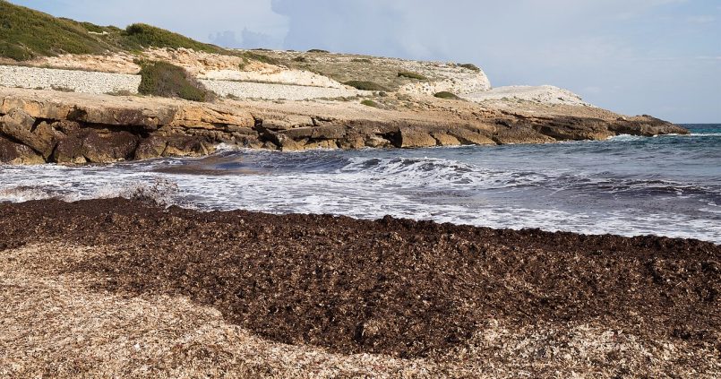 Cala Mitjana op Mallorca bij Artà - wild zandstrand