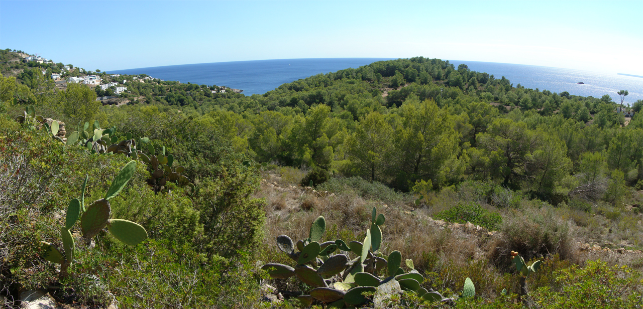 De Roca Llisa-buurt boven Cala Olivera, zee op de horizon