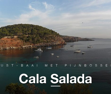 Panorama van Cala Salada aan de westkust van Ibiza met pijnbossen en helder water