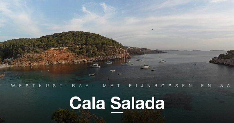 Panorama van Cala Salada aan de westkust van Ibiza met pijnbossen en helder water