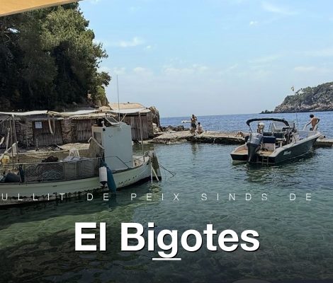 Het terras van El Bigotes aan Cala Mastella, met vissersbootjes in de baai