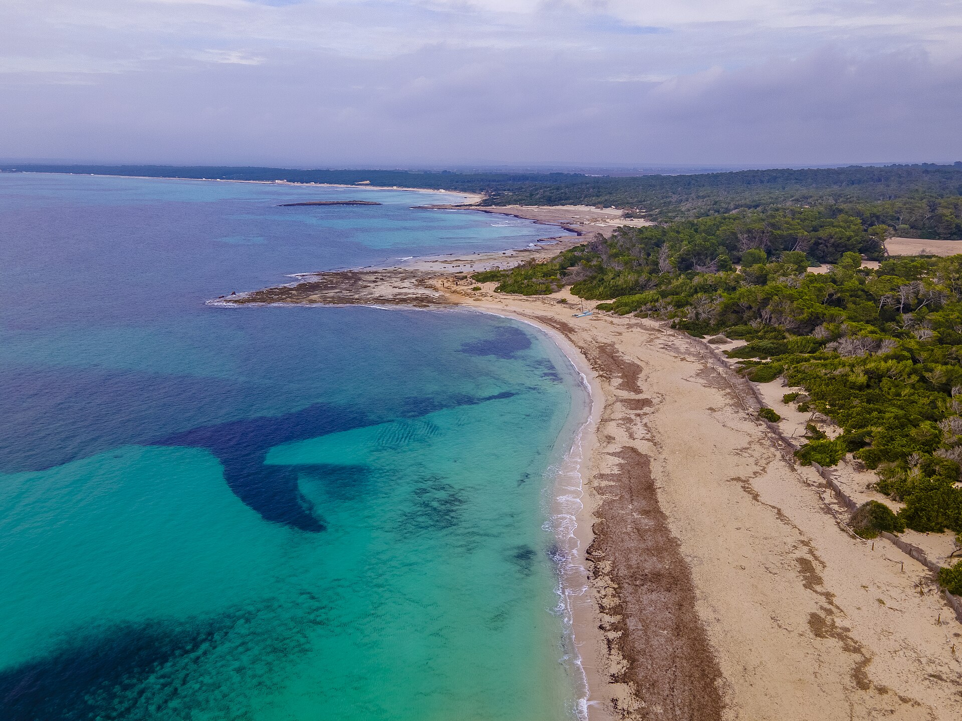 Luchtfoto van Es Trenc op Mallorca met turquoise ondiep water, wit zand en duinen met pijnbomen