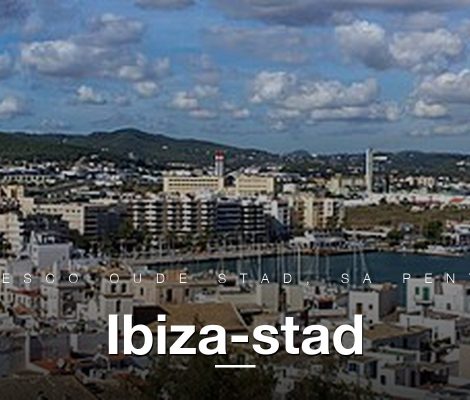 Panorama van Ibiza-stad met haven, Dalt Vila links en marina rechts