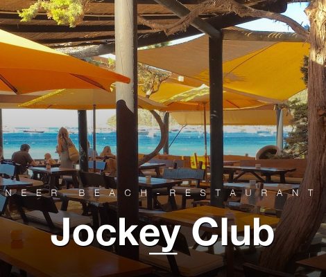 Terras van Jockey Club met gele parasols en pijnboom, Las Salinas Ibiza