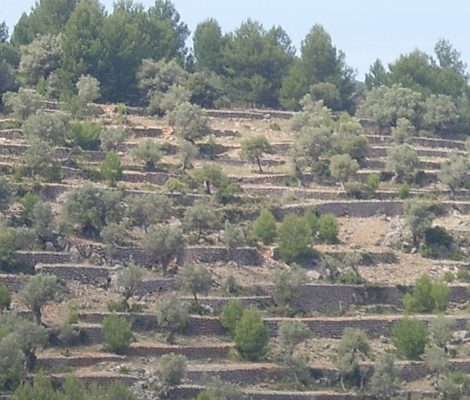 Mallorca-rondreis route