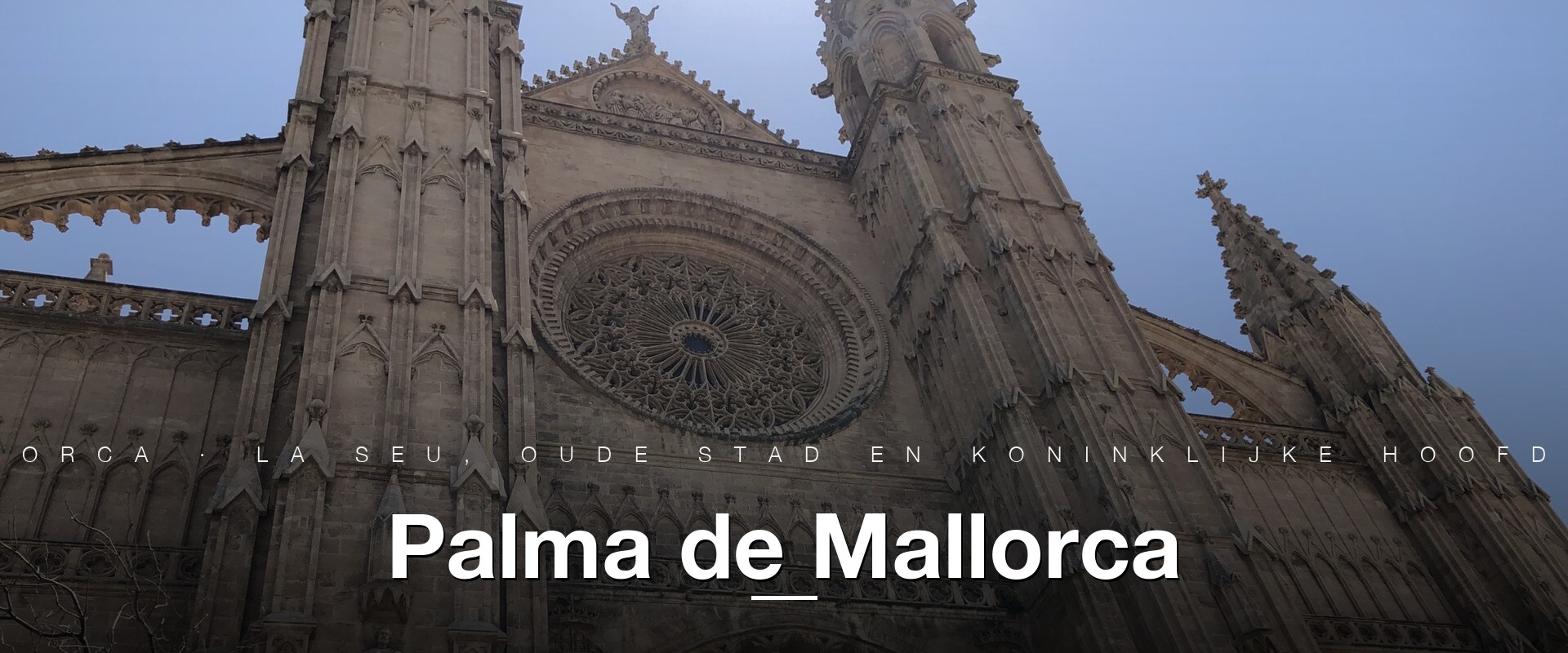 Catedral La Seu Palma de Mallorca