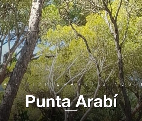 Pad met witte kraampjes onder pijnbomen bij Punta Arabí hippiemarkt Es Canar, Ibiza