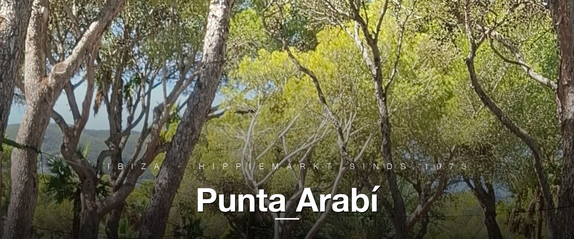 Pad met witte kraampjes onder pijnbomen bij Punta Arabí Es Canar, Ibiza