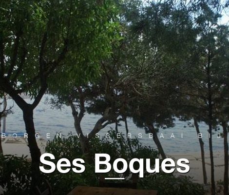 Ses Boques restaurant-tafel met zicht op de zee onder pijnbomen, Ibiza