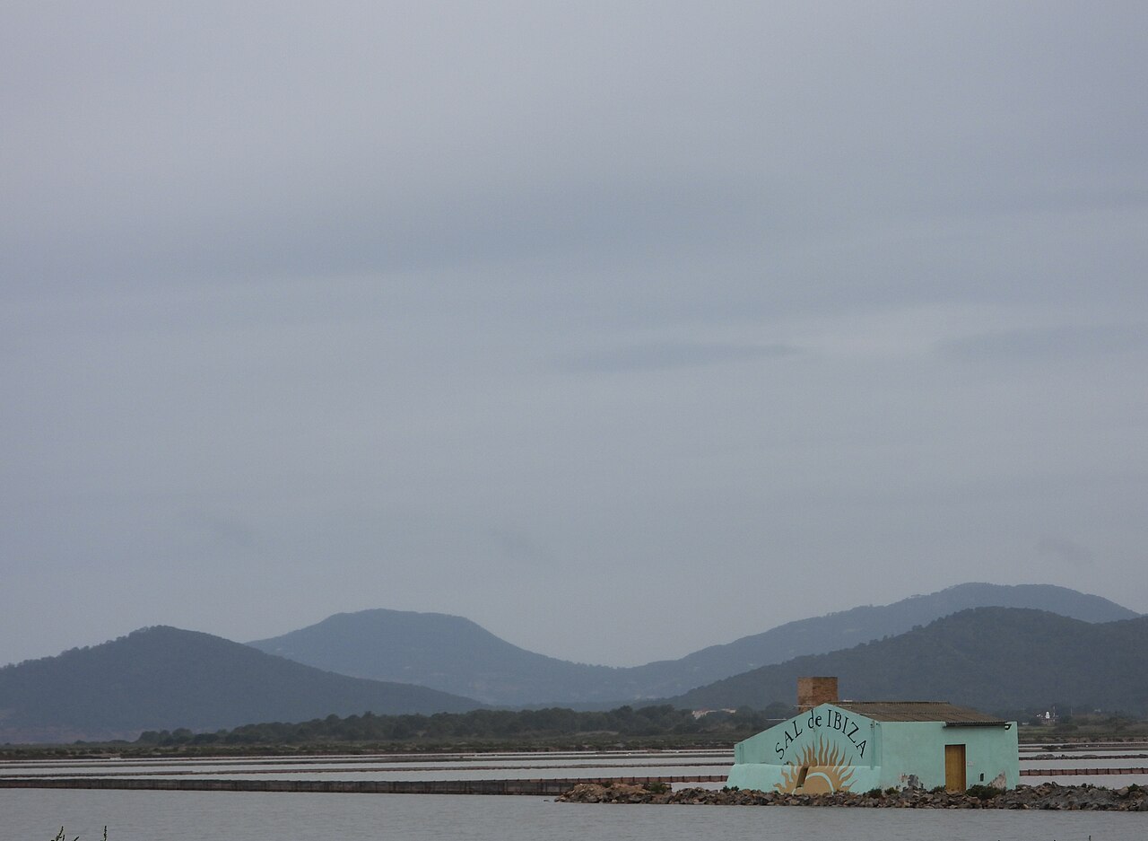 La Escollera Ibiza: lunchparel aan Es Cavallet (compleet 2026) 3 De zoutpannen van Ses Salines op Ibiza