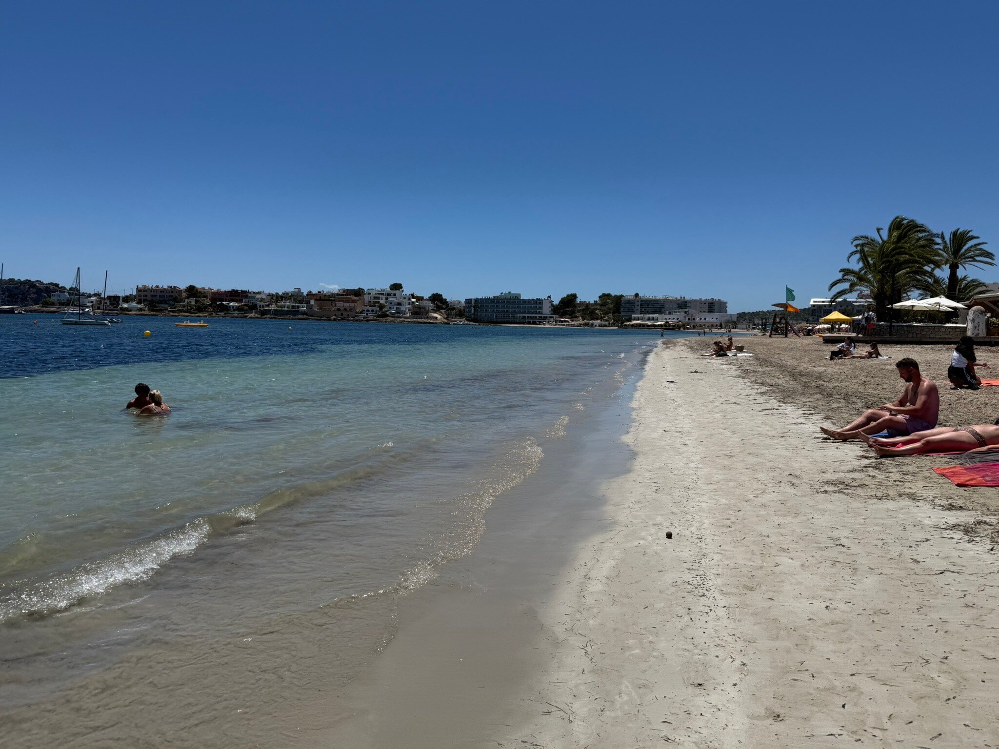 Talamanca-strand met palm en zicht op Marina Botafoch