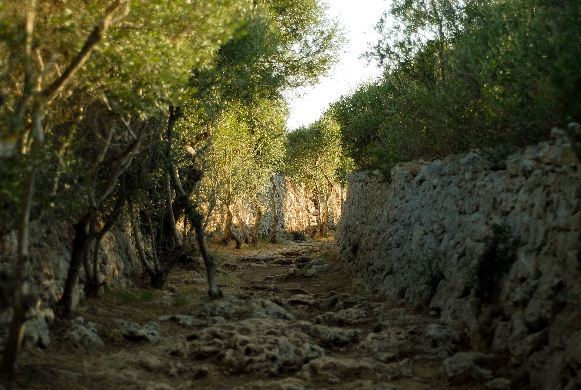 Auto huren op Menorca: prijzen, tips en alles wat je moet weten 1 Auto huren op Menorca op Menorca