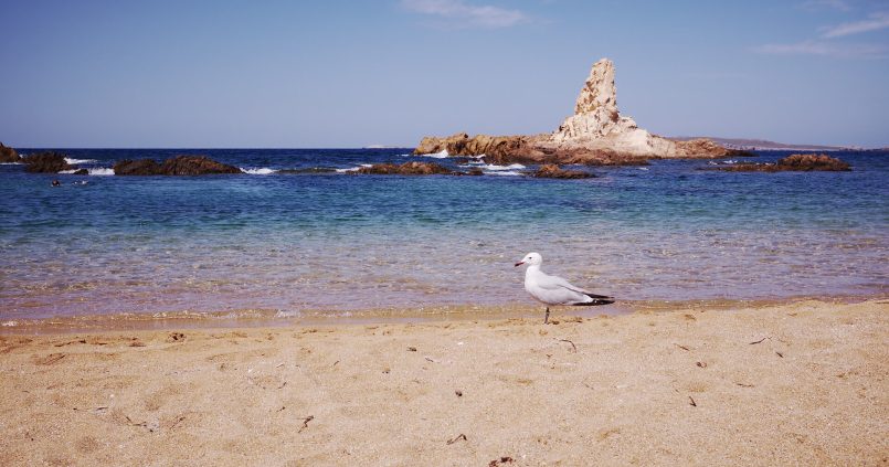 Cala Pregonda Menorca op Menorca