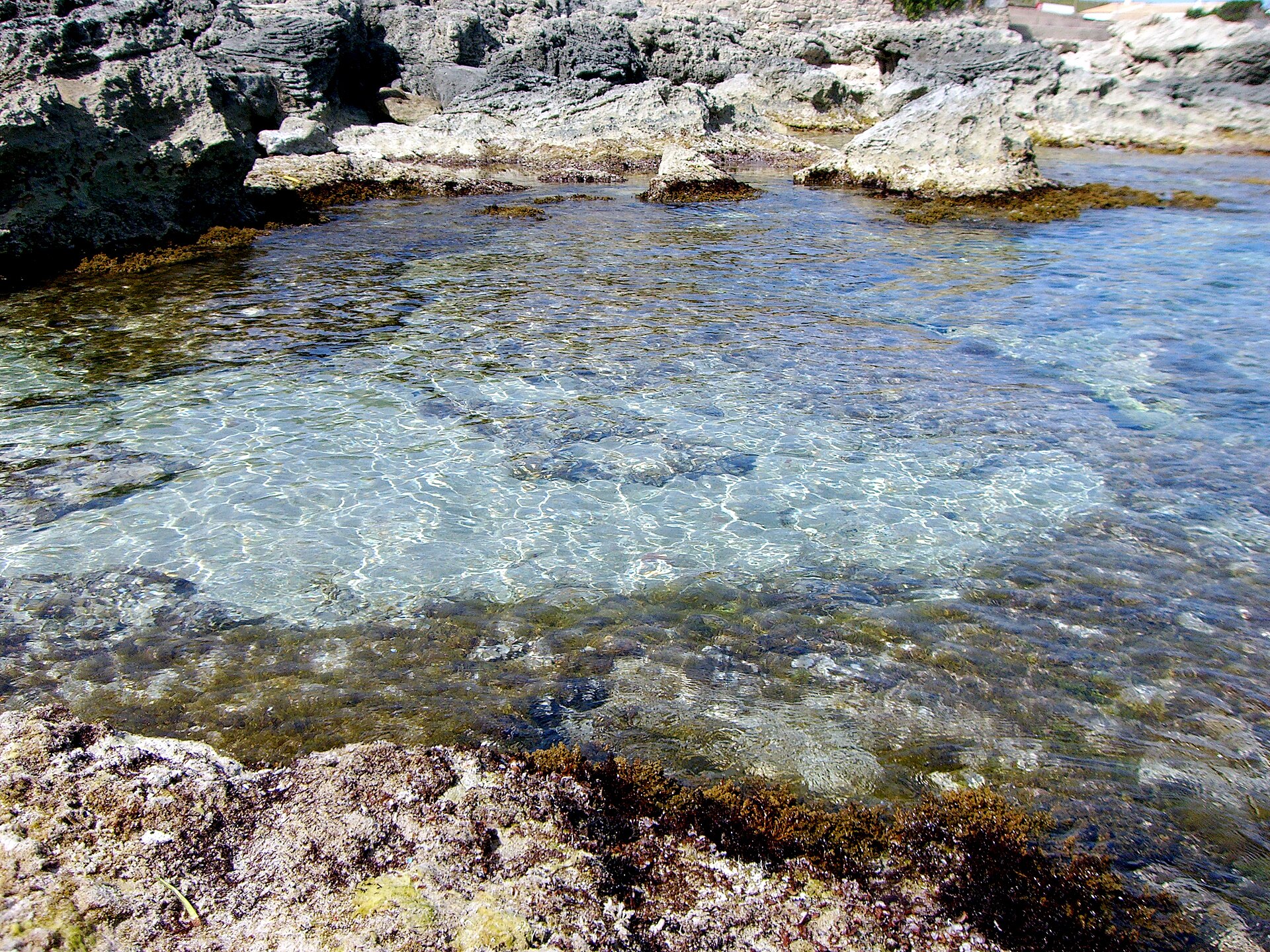 Kraakhelder ondiep water over de rotsen bij Es Caló de Sant Agustí