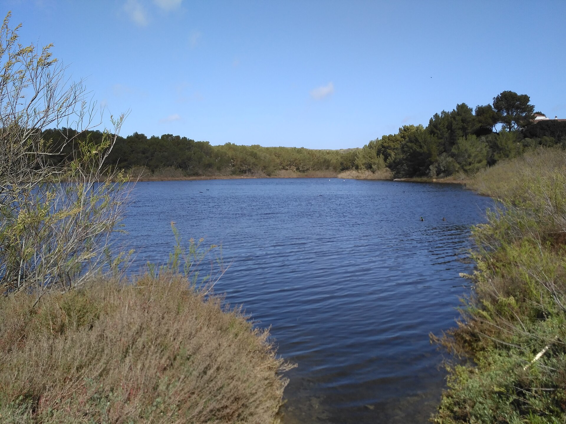 De lagune van s'Albufera des Grau, pal naast het dorp Es Grau