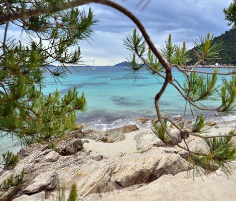 Platja de Formentor op Mallorca, turquoise water door pijnbomen gezien
