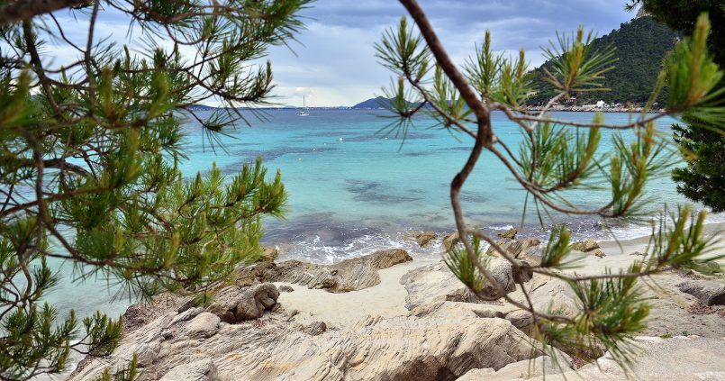 Platja de Formentor op Mallorca, turquoise water door pijnbomen gezien