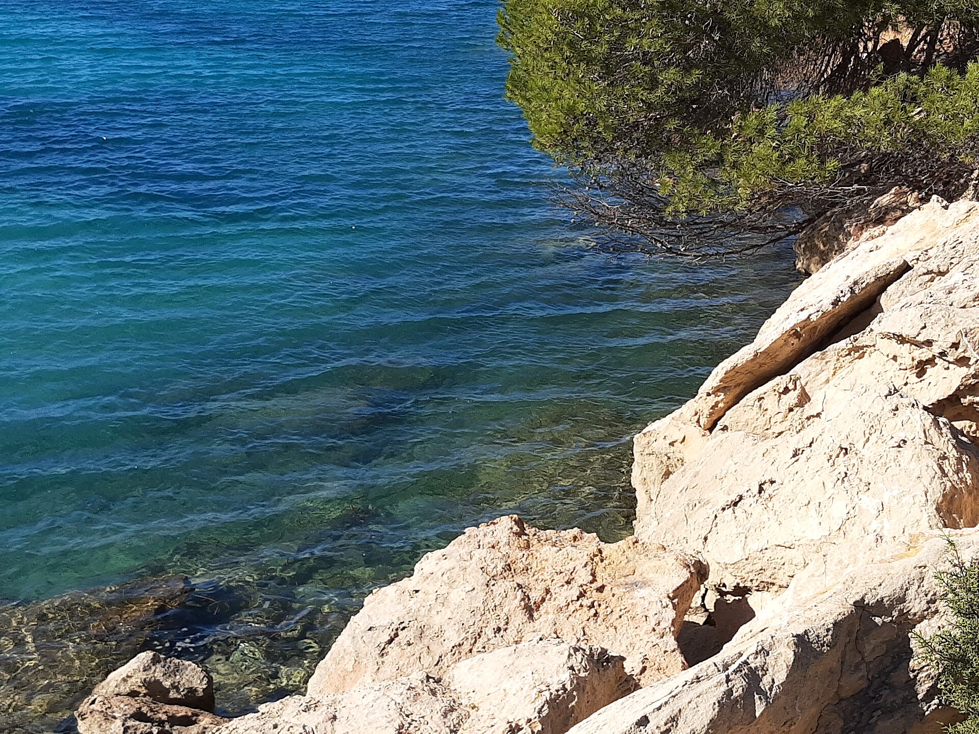 Port des Torrent Ibiza: familiestrand bij Sant Antoni met snorkelrotsen 2 Kristalhelder water en snorkelrotsen bij Port des Torrent, Ibiza
