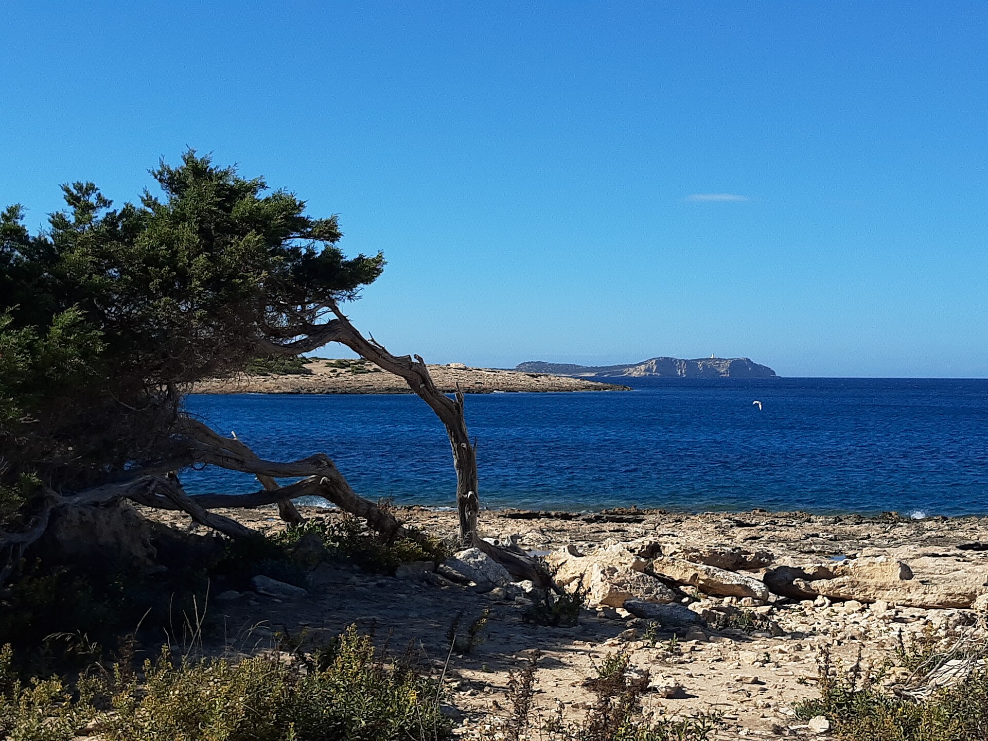 Port des Torrent Ibiza: familiestrand bij Sant Antoni met snorkelrotsen 1 Kristalhelder water en snorkelrotsen bij Port des Torrent, Ibiza