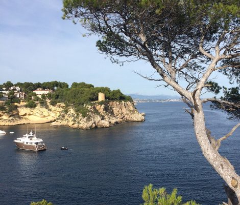 De baai van Portals Vells aan de zuidwestkust van Mallorca met jacht en pijnboom