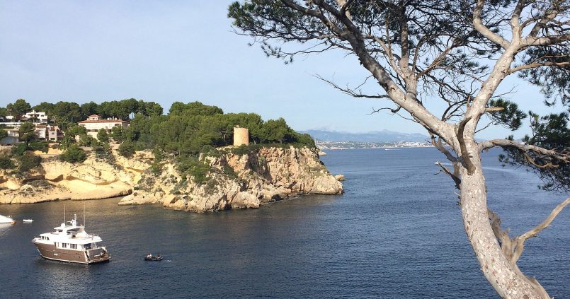 De baai van Portals Vells aan de zuidwestkust van Mallorca met jacht en pijnboom