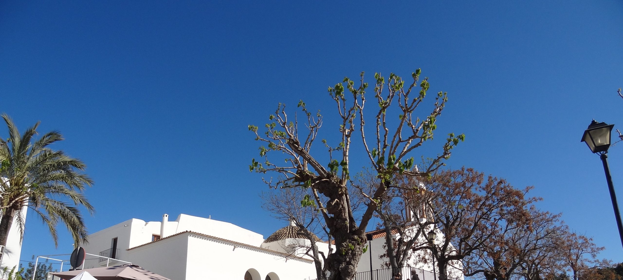 Sant Joan de Labritja Ibiza: het rustige, groene noorden 2 De witte dorpskerk van Sant Joan de Labritja, hart van het rustige noorden