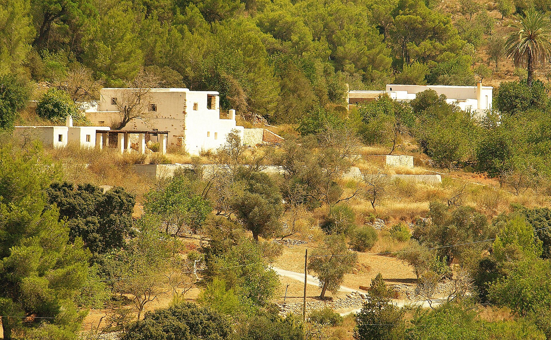 Het groene, rurale landschap rond Sant Miquel de Balansat