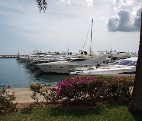 Uitgaan in Puerto Portals Mallorca, Mallorca