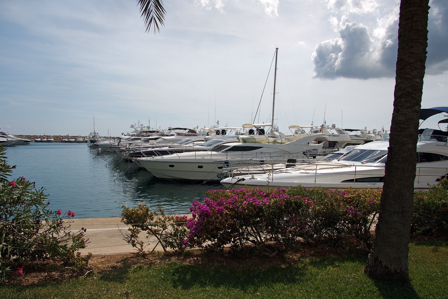 Uitgaan in Puerto Portals Mallorca, Mallorca