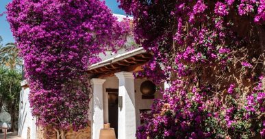 Atzaró Ibiza: luxe-agroturismo en spa in het groene binnenland van Santa Eulària 8 De met bougainvillea overdekte finca van Atzaró op Ibiza