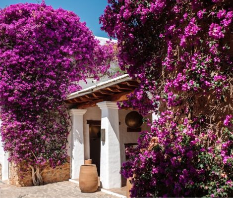De met bougainvillea overdekte finca van Atzaró op Ibiza