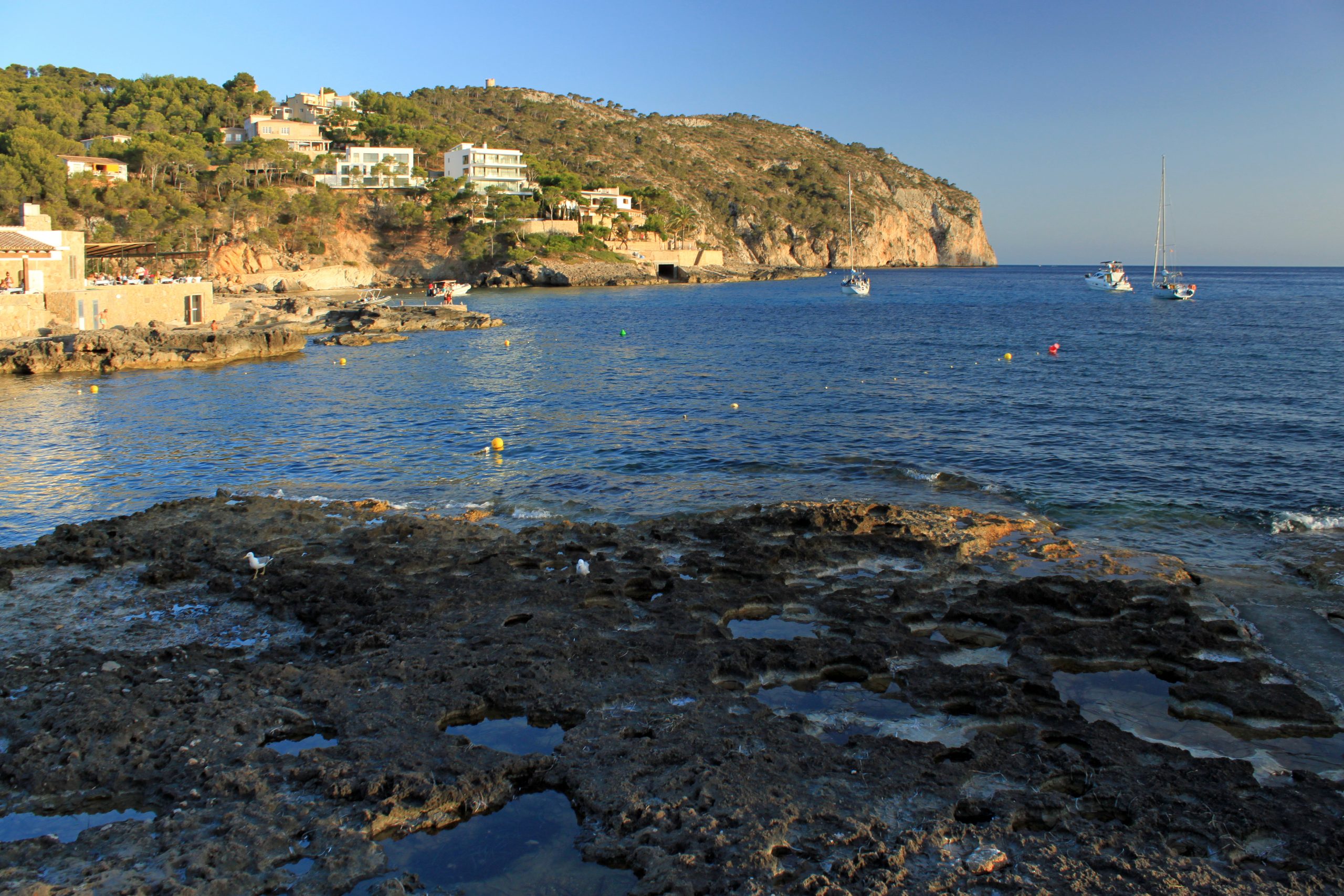 De beschutte baai van Camp de Mar op Mallorca met turquoise water, rotsen, boten en met pijnbomen begroeide heuvels in het avondlicht