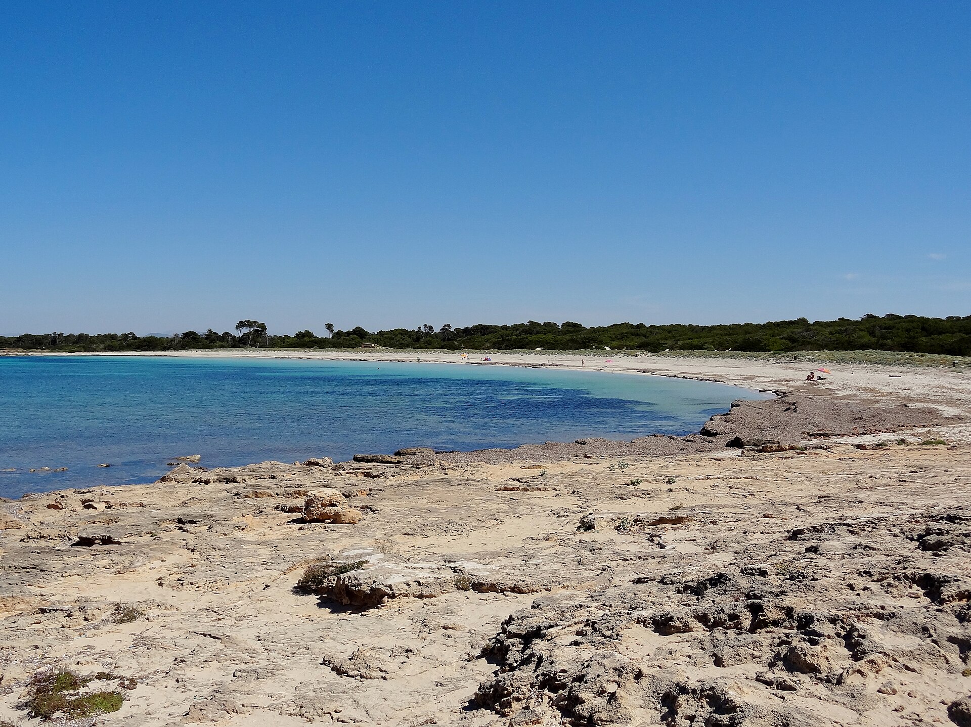 De weidse wilde baai van Es Caragol met turquoise water, rotsige voorgrond en pijnbos op de zuidpunt van Mallorca