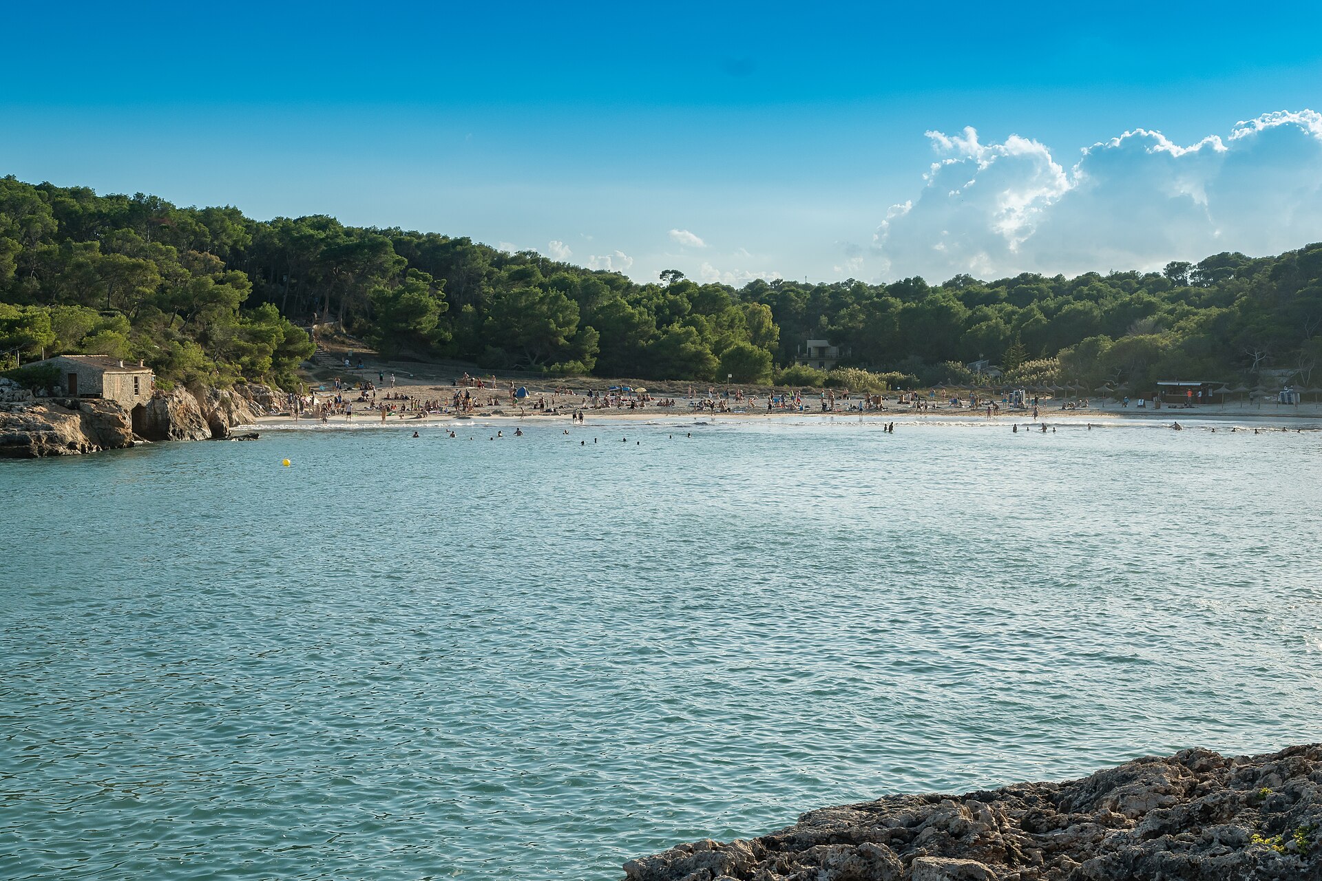 De brede baai van S'Amarador met kalm turquoise water en pijnbossen in het Parc natural de Mondragó, Mallorca