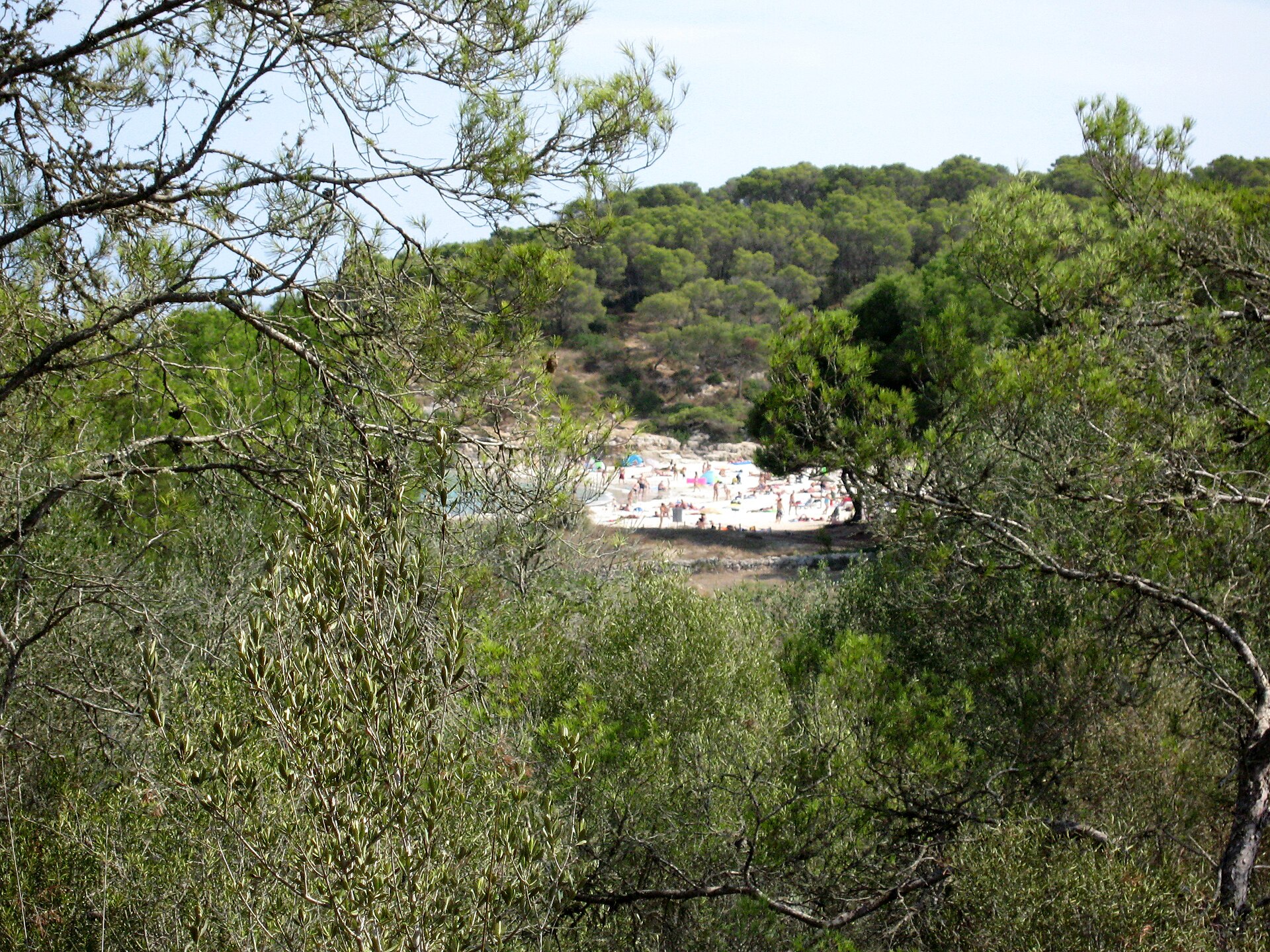 Doorkijk naar het strand van S'Amarador tussen de pijnbomen en olijfstruiken van het natuurpark Mondragó, Mallorca
