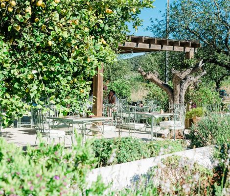 Tuinterras van Aubergine by Atzaró onder citroen- en olijfbomen op Ibiza