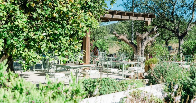 Tuinterras van Aubergine by Atzaró onder citroen- en olijfbomen op Ibiza