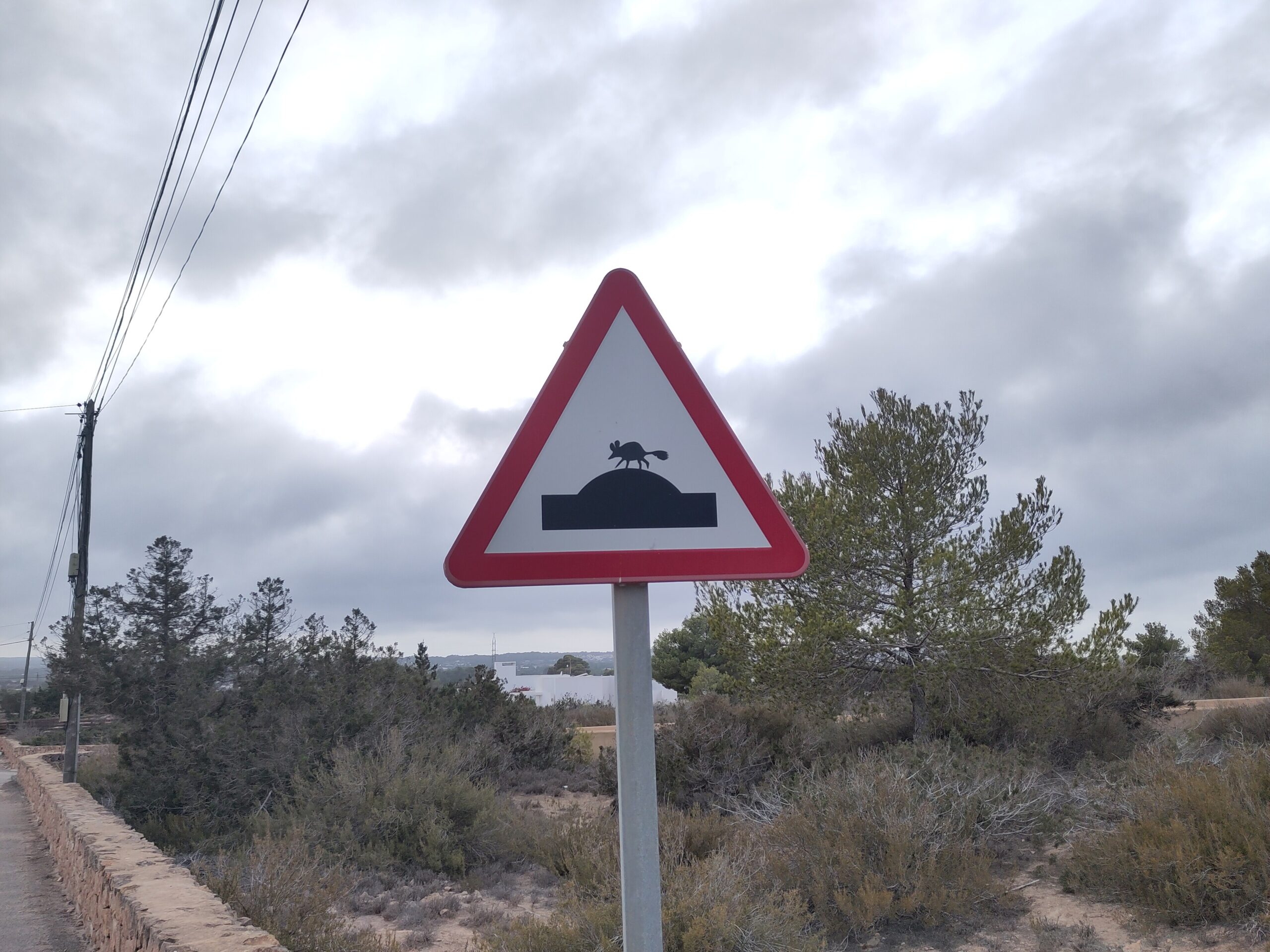 Rijden op Formentera, foto 3