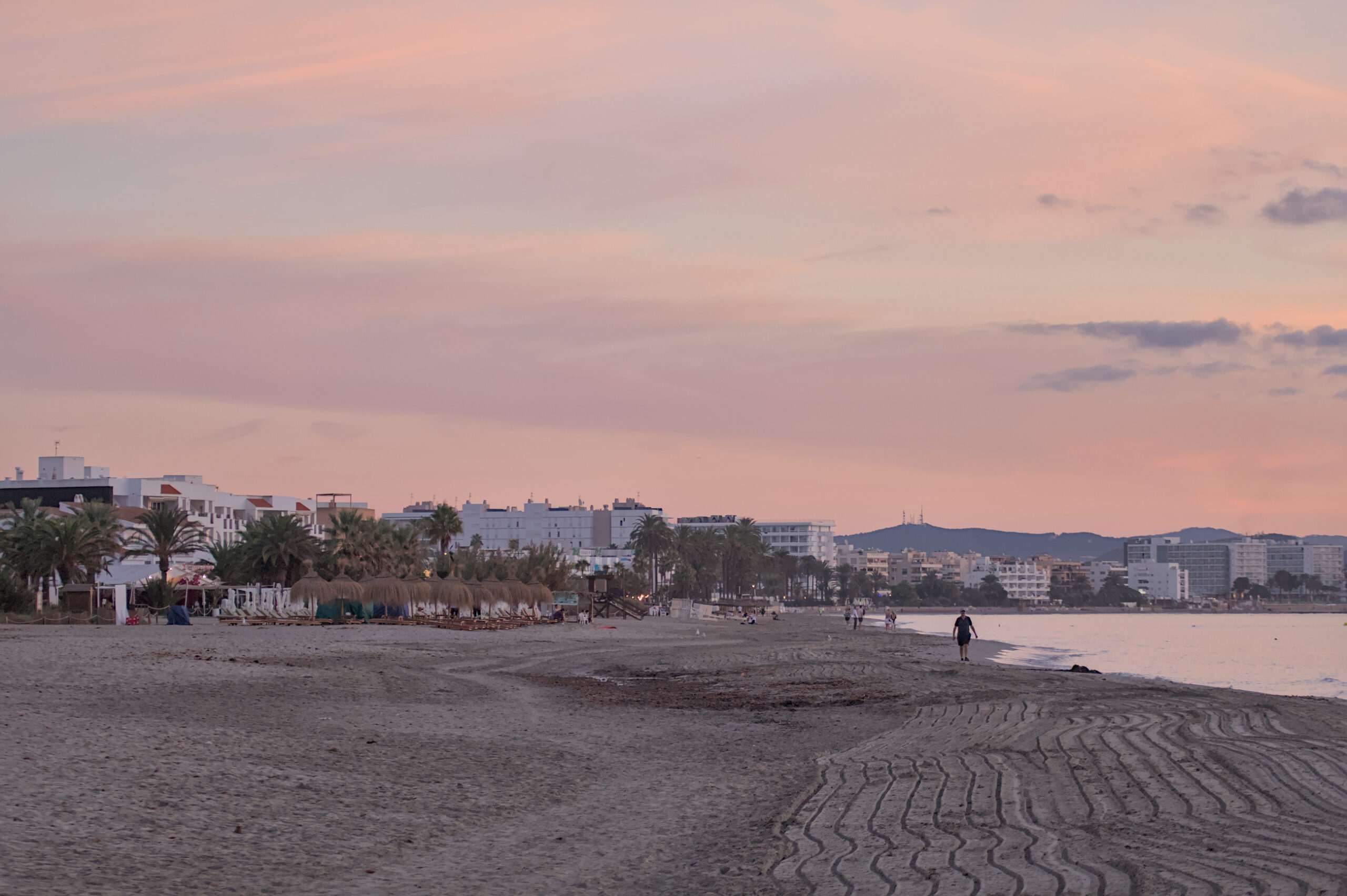 Beachclubs op Ibiza: waar ze zitten, seizoen en reserveren 1 Playa d'en Bossa op Ibiza bij dageraad met lege ligbedden en parasols op het zand en een roze lucht boven zee